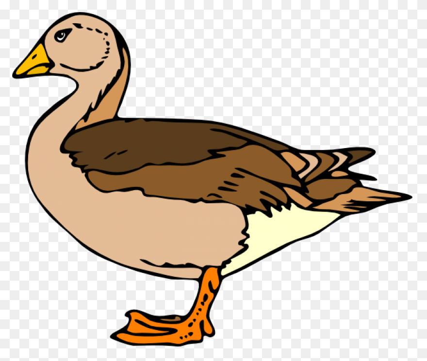 Duck Clipart Image Free Clipart Ima