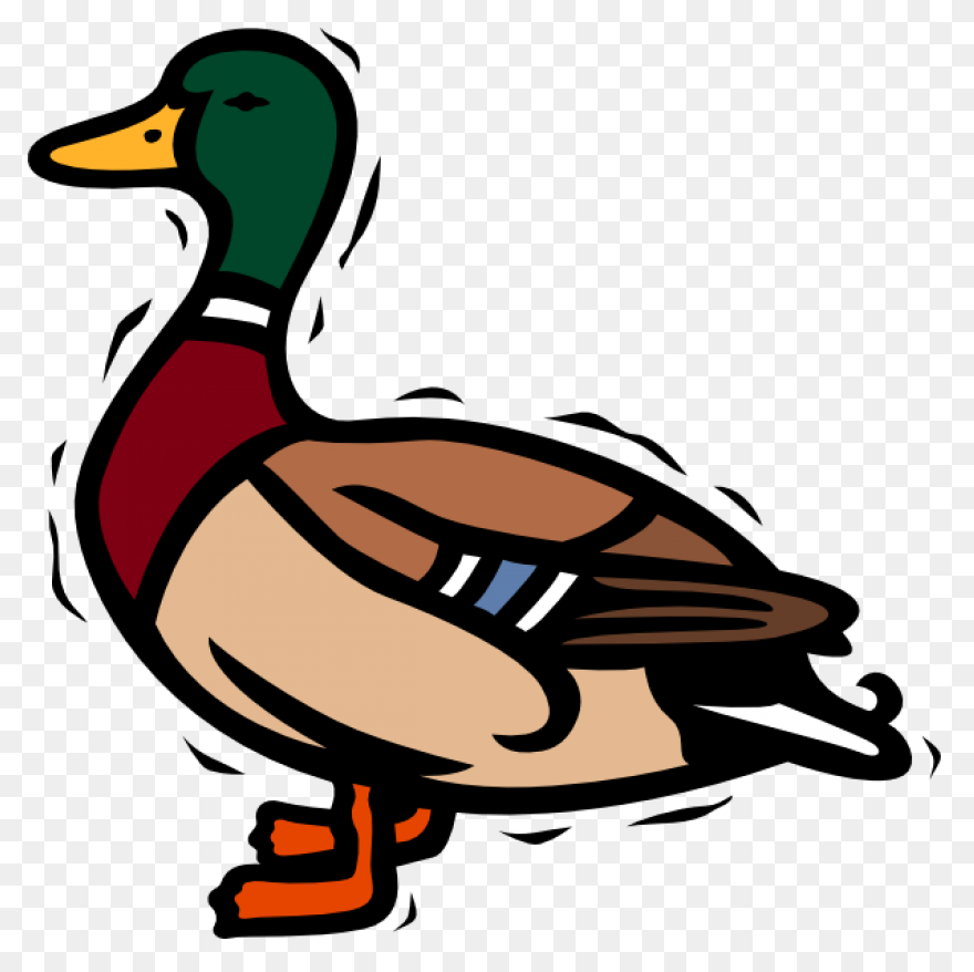 Duck Clipart Image Free Clipart Ima