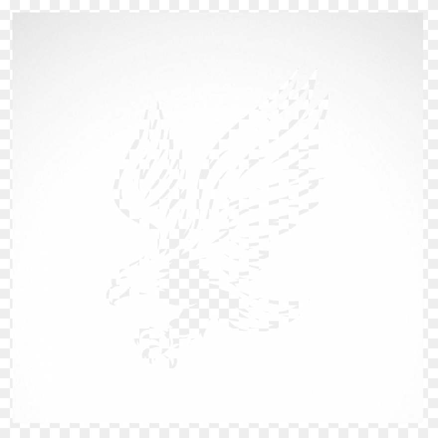 Bird, Comedy, Democraty, Eagle, Usa