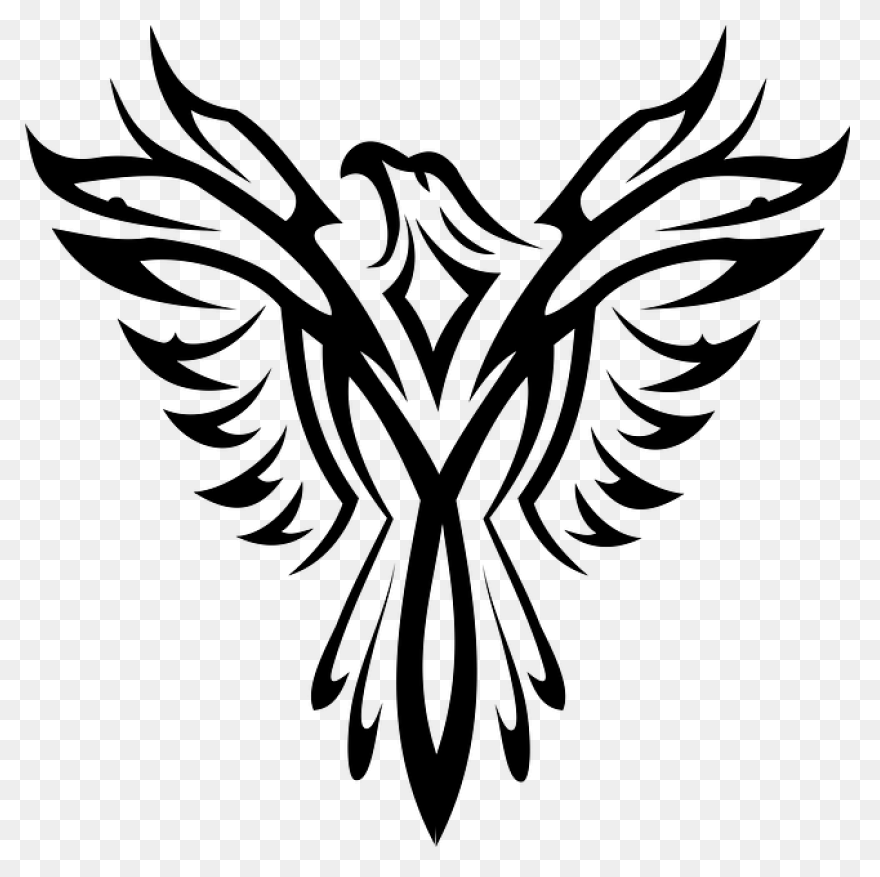 Bird, Comedy, Democraty, Eagle, Usa
