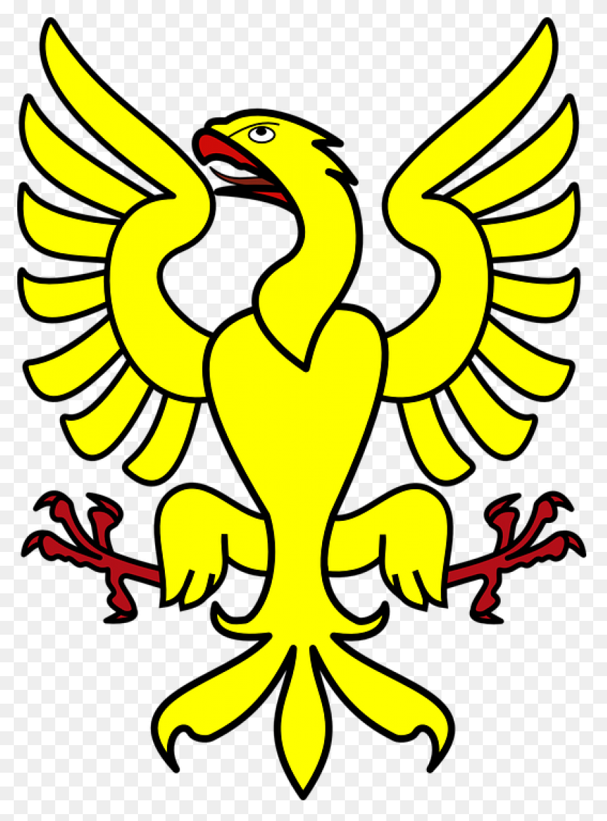 Bird, Comedy, Democraty, Eagle, Usa