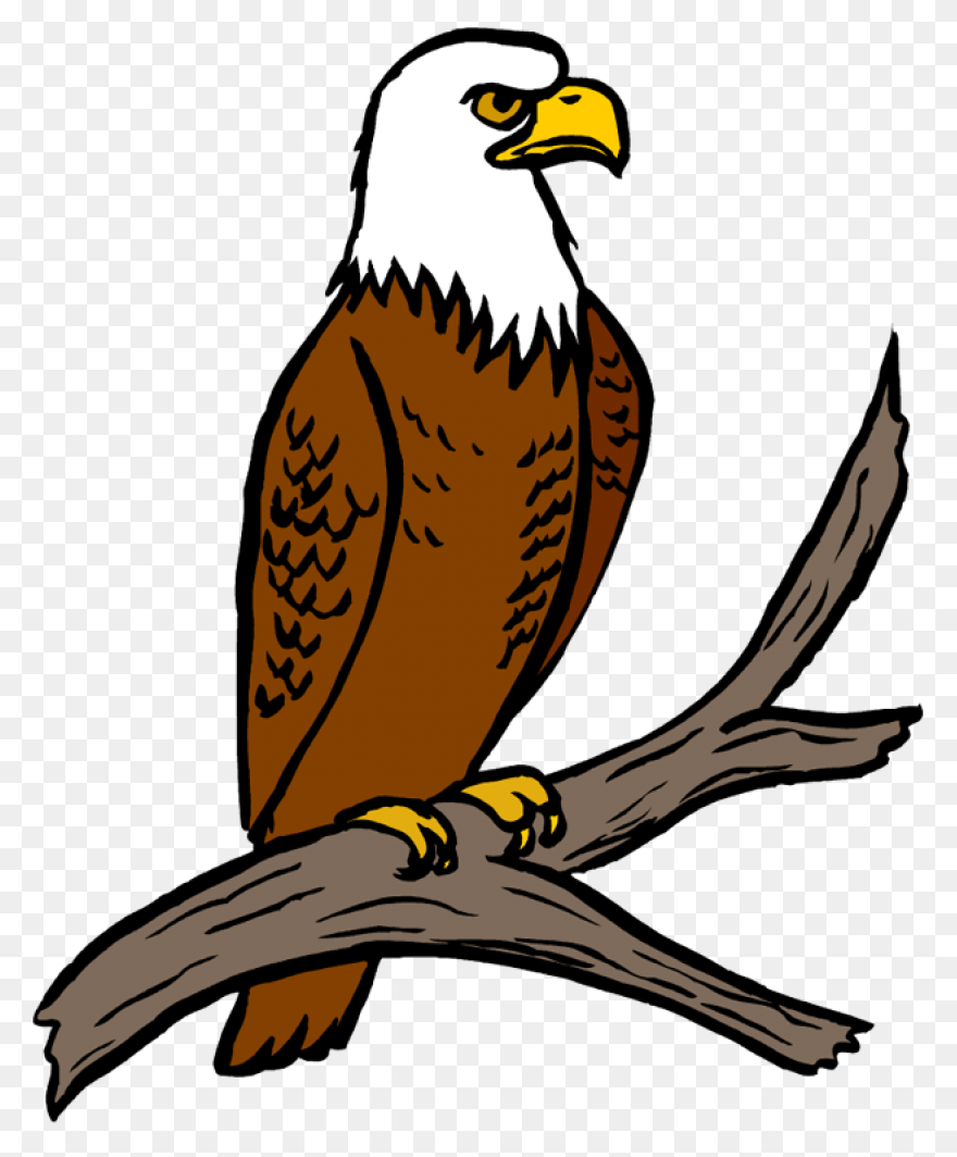 Art, Eagle Cartoon, Eagle Art