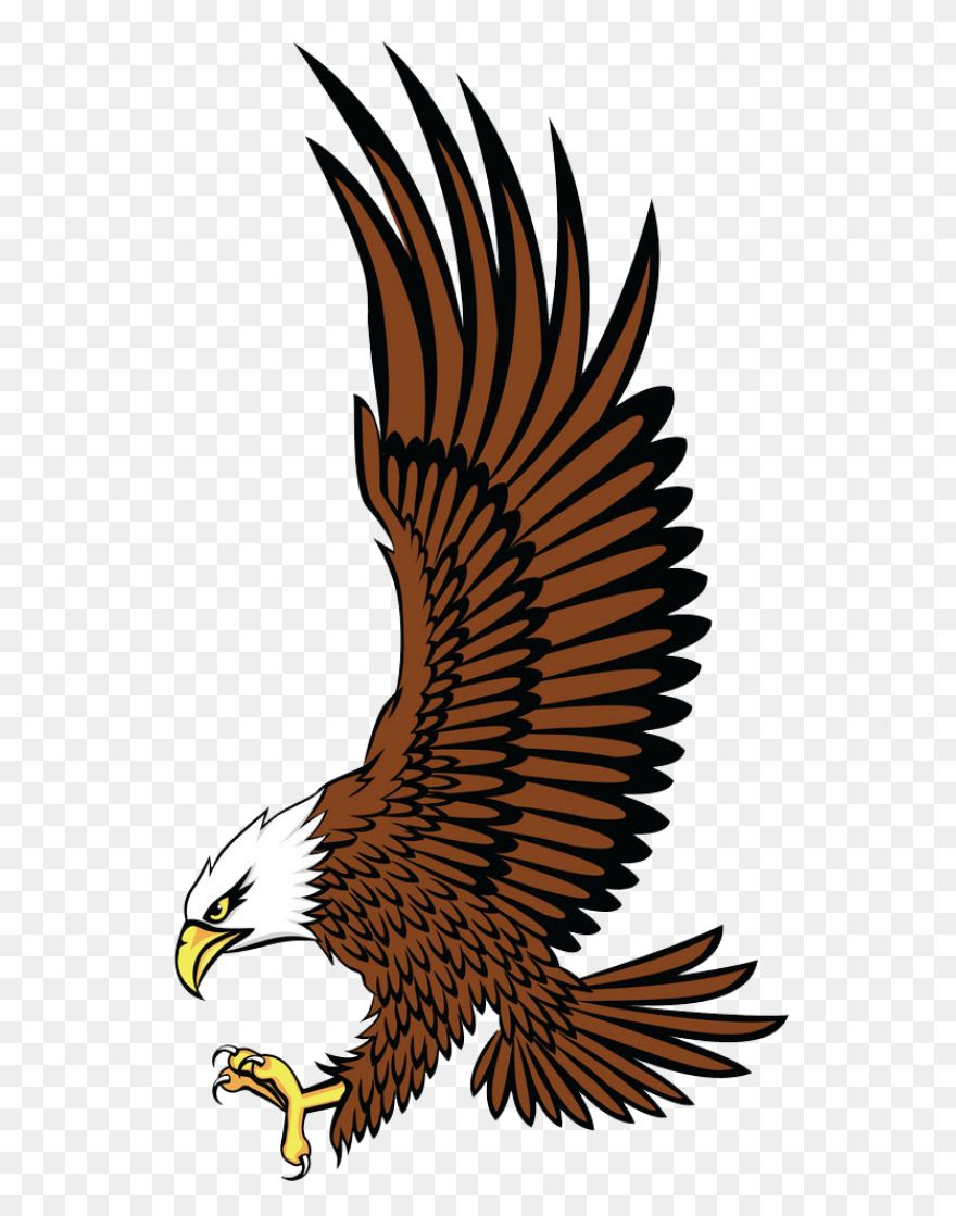 10+ Eagle - View: Bald Eagle Clipart Traceable Soaring PNG Clip Art Images
