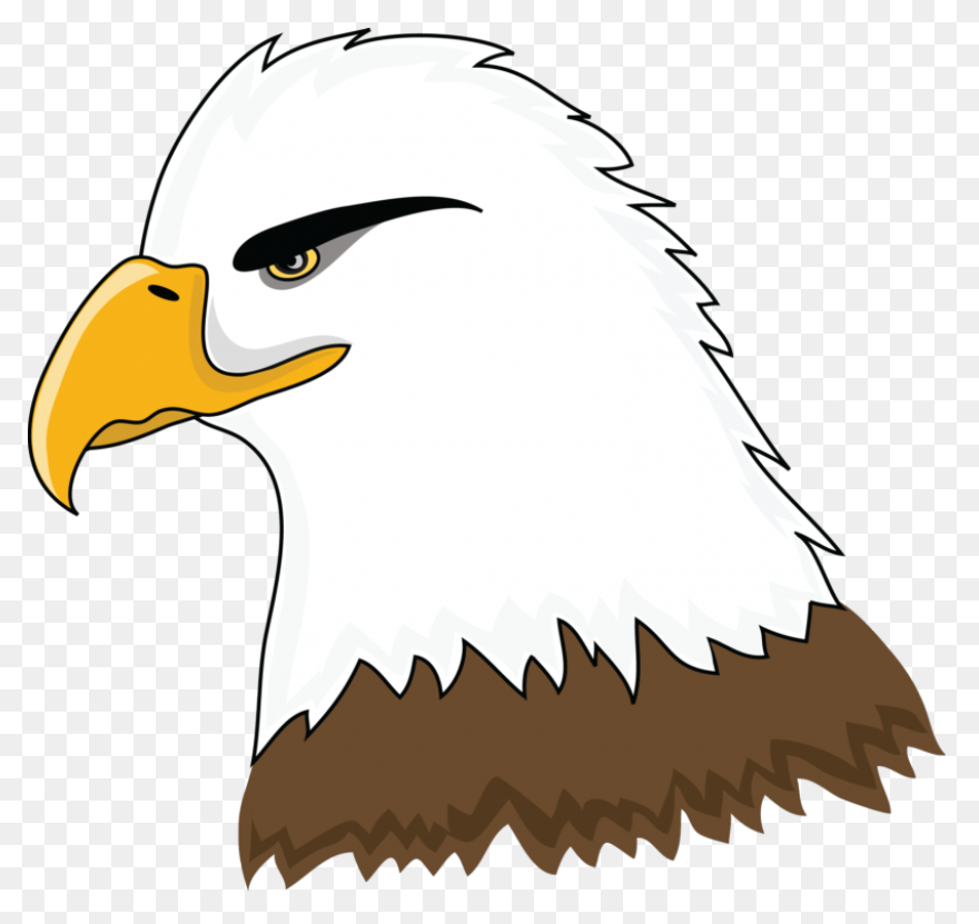 Art, Eagle Cartoon, Eagle Art