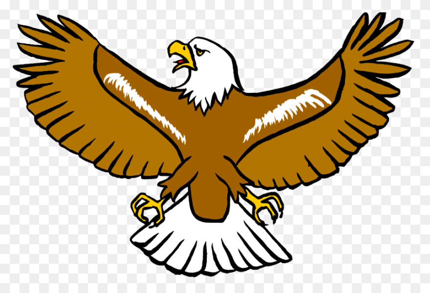 10+ Eagle - View: Bald Eagle Clipart Traceable Soaring PNG Clip Art Images