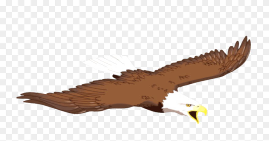 Art, Eagle Cartoon, Eagle Art