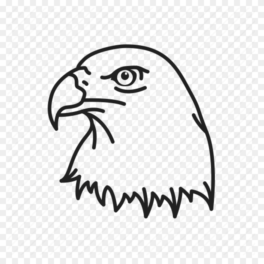 American Eagle Bald Eagle Bird - Eagle Head