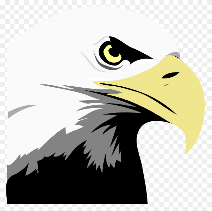 American Eagle, Bald Eagle, Bird, E