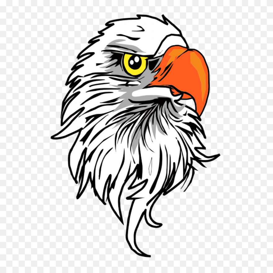 American Eagle, Bald Eagle, Bird, E
