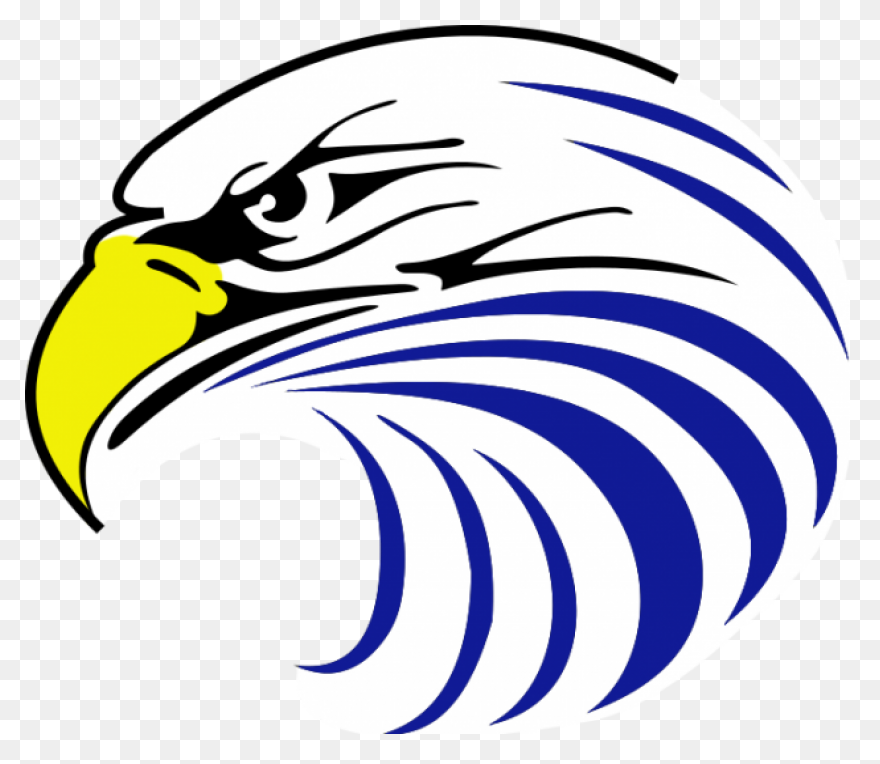 American Eagle, Bald Eagle, Bird, E