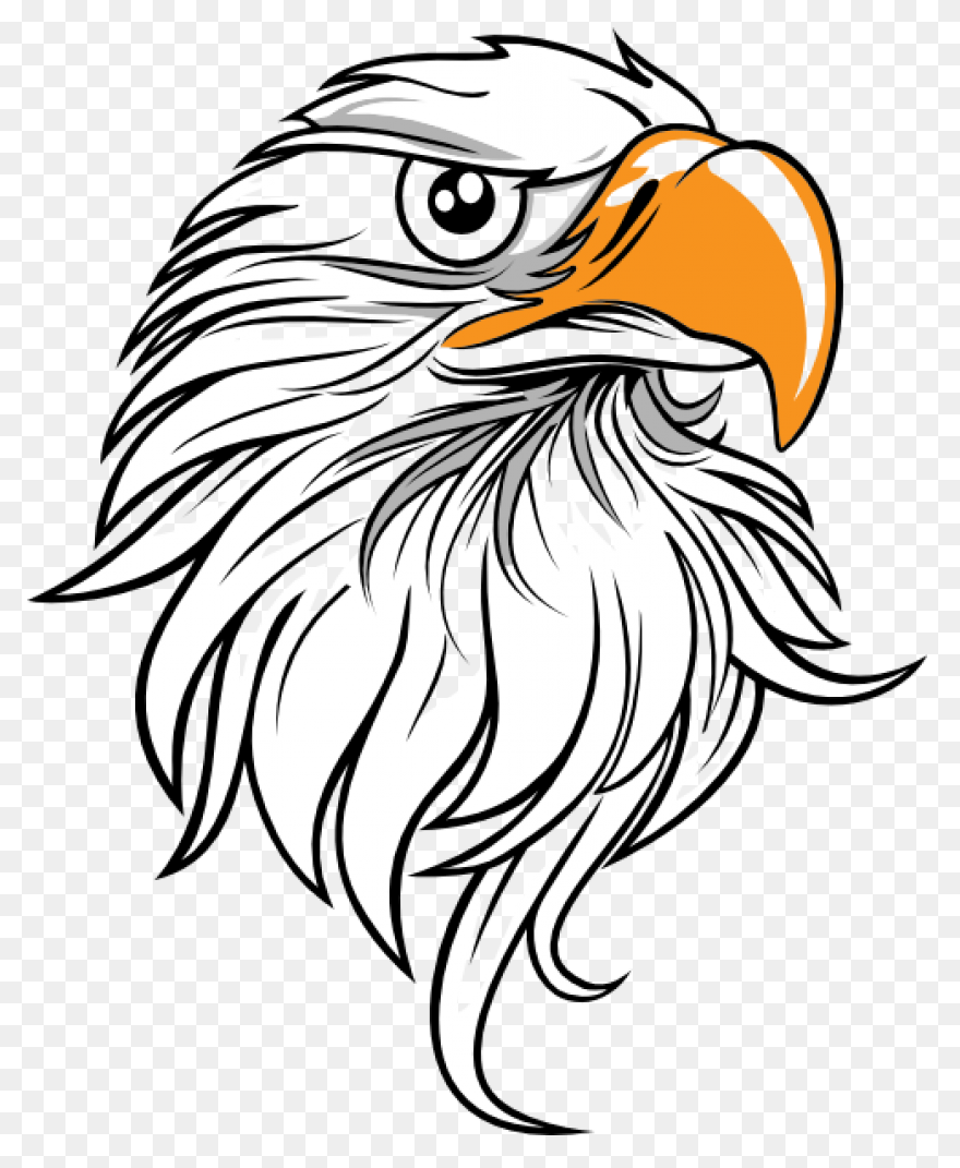 American Eagle, Bald Eagle, Bird, E