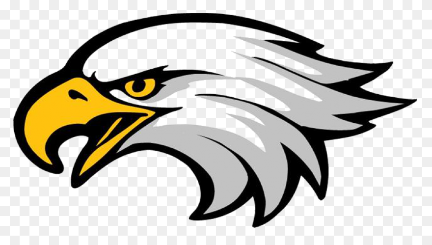 American Eagle, Bald Eagle, Bird, E