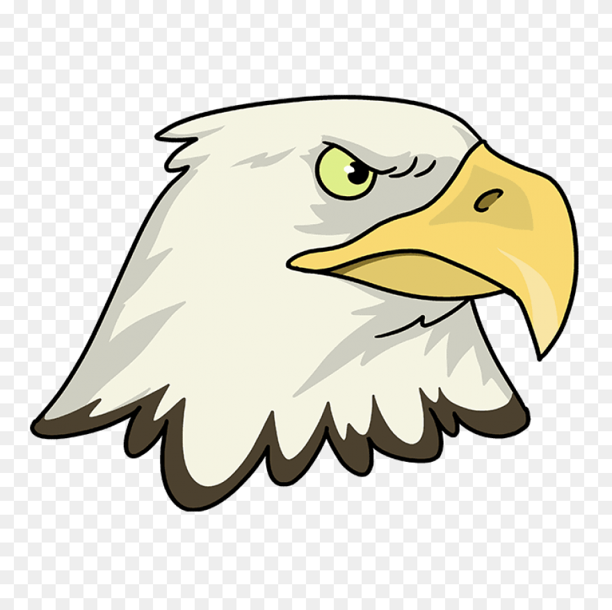 American Eagle, Bald Eagle, Bird, E