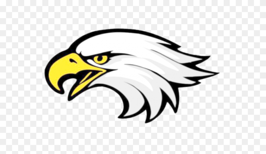 American Eagle, Bald Eagle, Bird, E