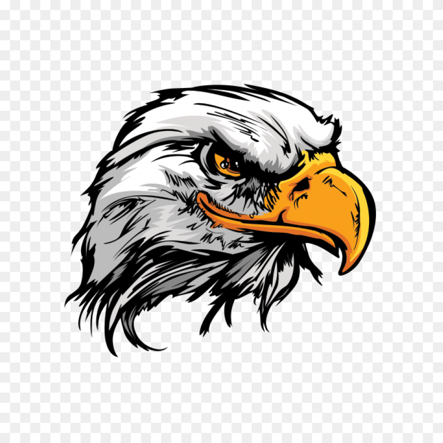 American Eagle, Bald Eagle, Bird, E