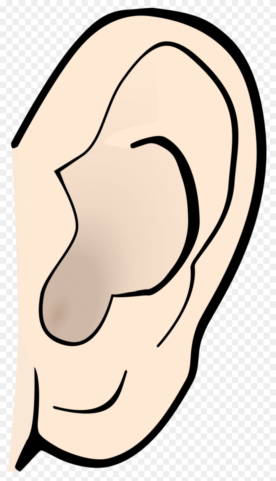 Ear Clipart Clip Art Clip Art Free 