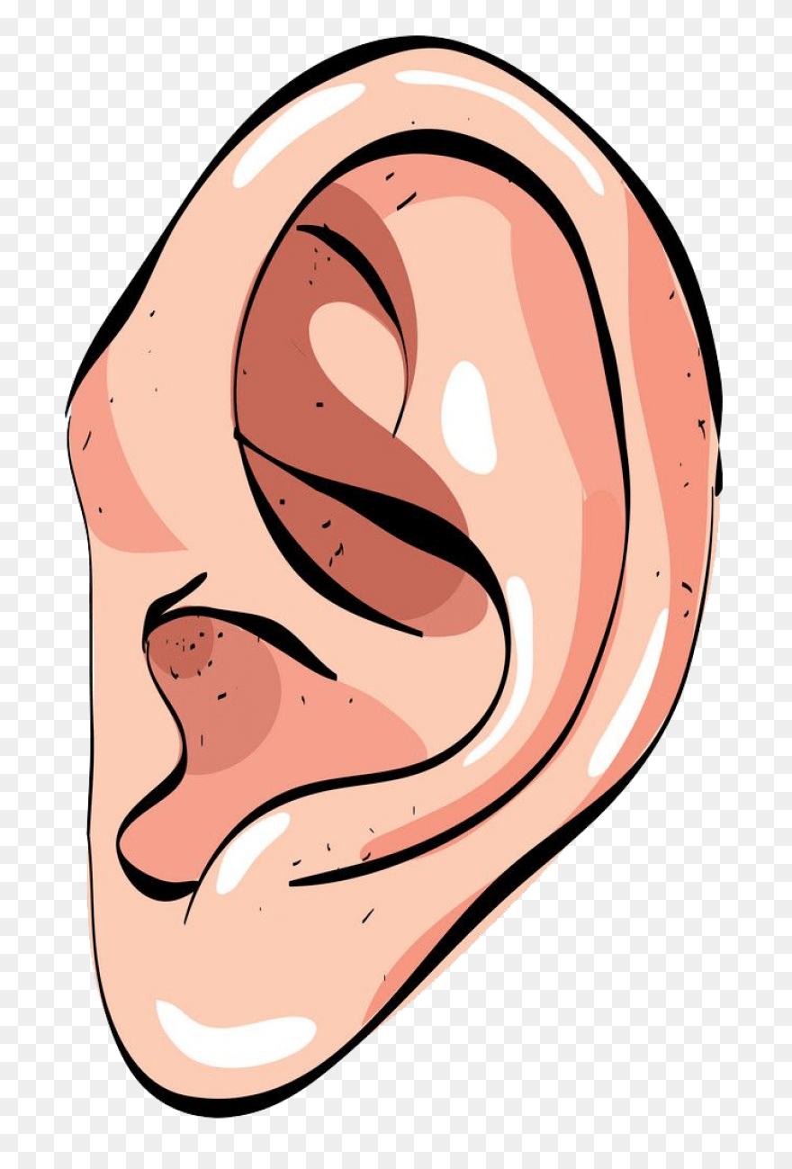 Ear Clipart Clip Art Clip Art Free 