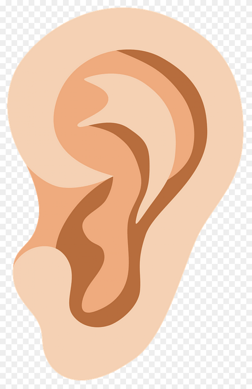 Ear Clipart Clip Art Clip Art Free 