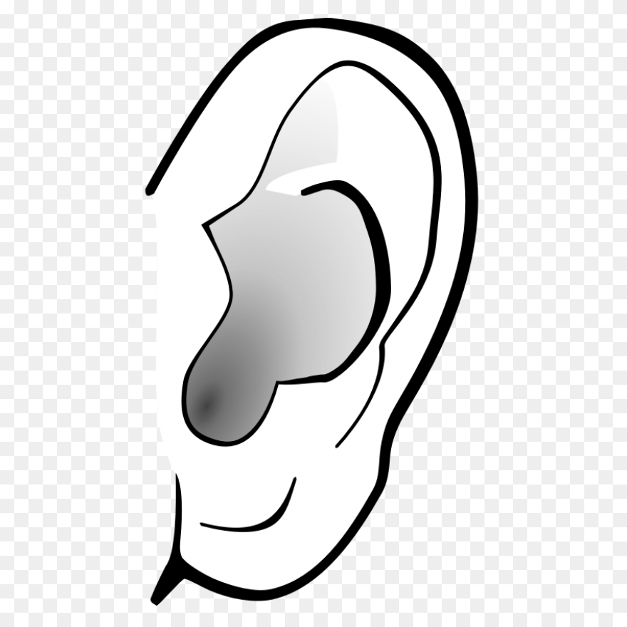 Ear Clipart Clipart Clipart Free - Ear