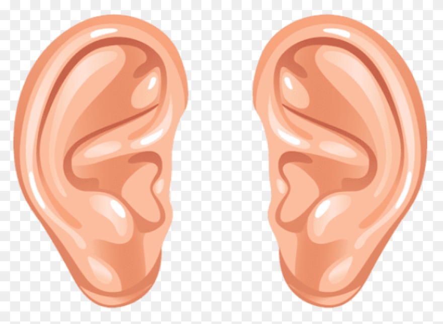 Ear Clipart Clip Art Clip Art Free 