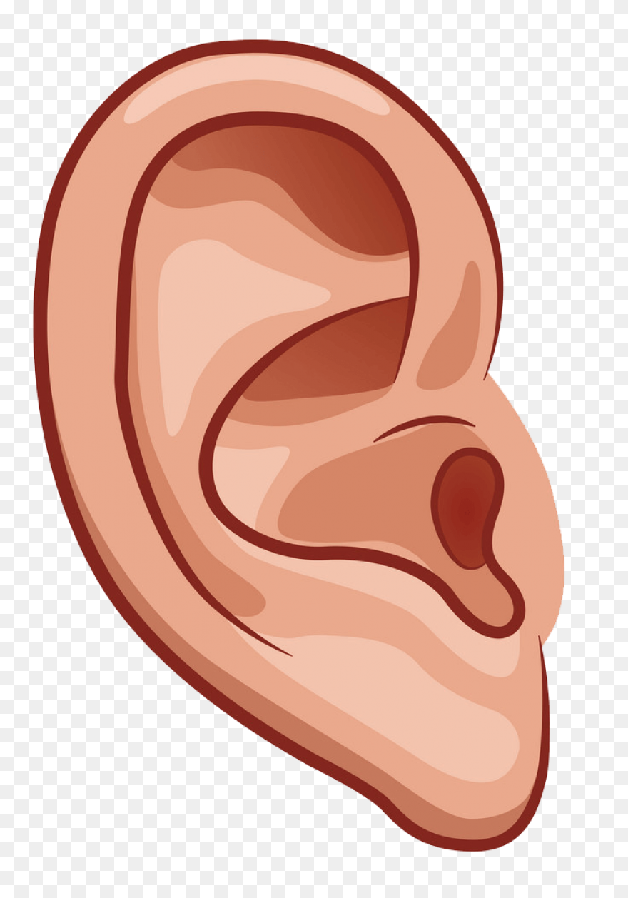 Ear Clipart Clip Art Clip Art Free 