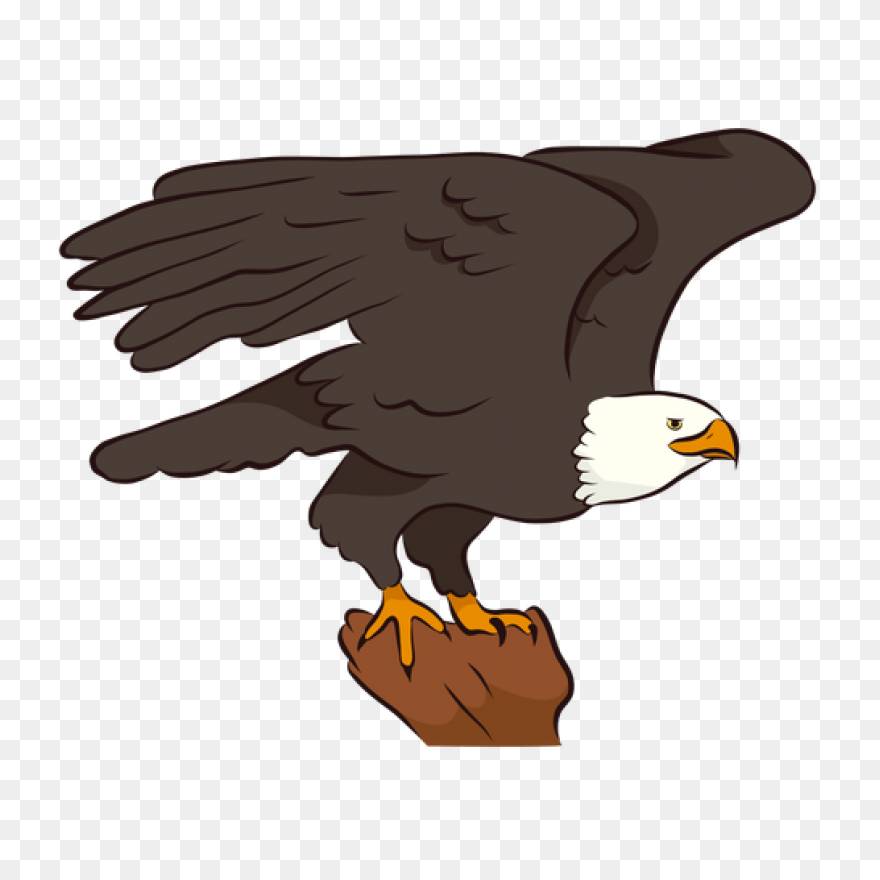 Art, Eagle Cartoon, Eagle Art