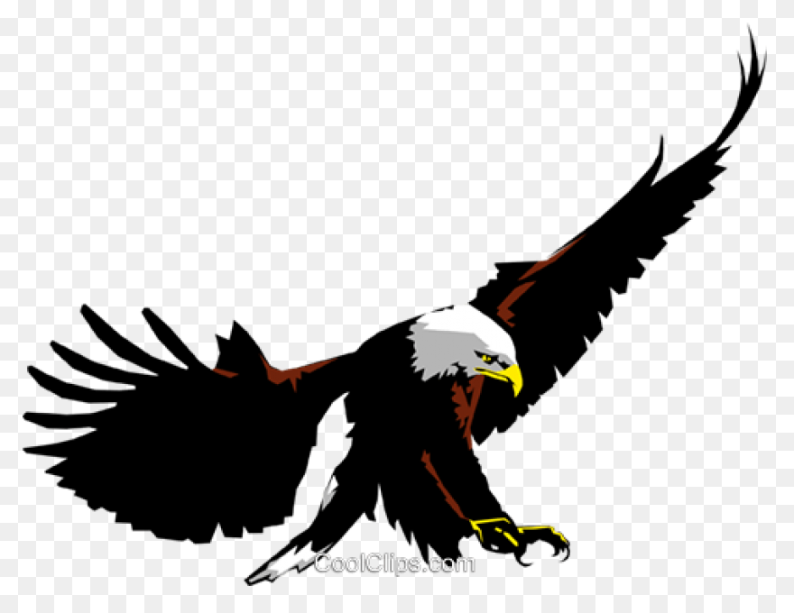 Art, Eagle Cartoon, Eagle Art