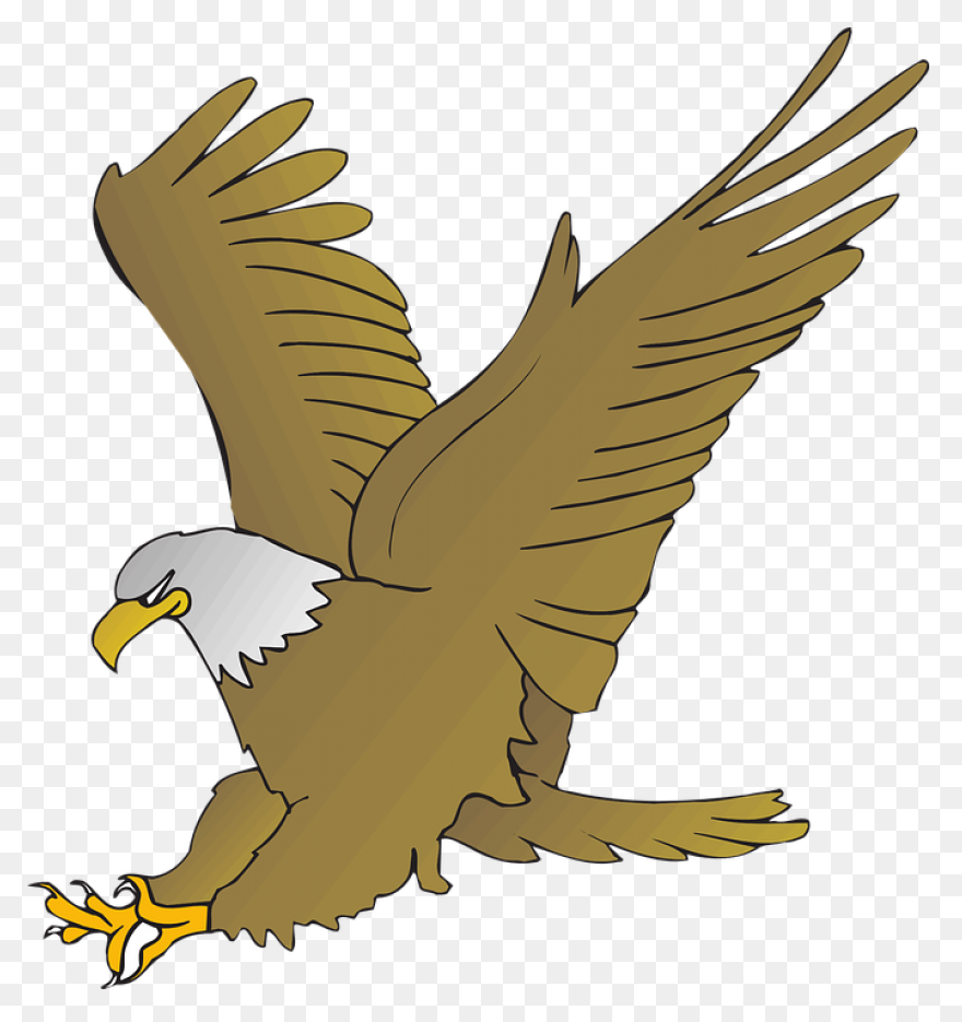 Art, Eagle Cartoon, Eagle Art