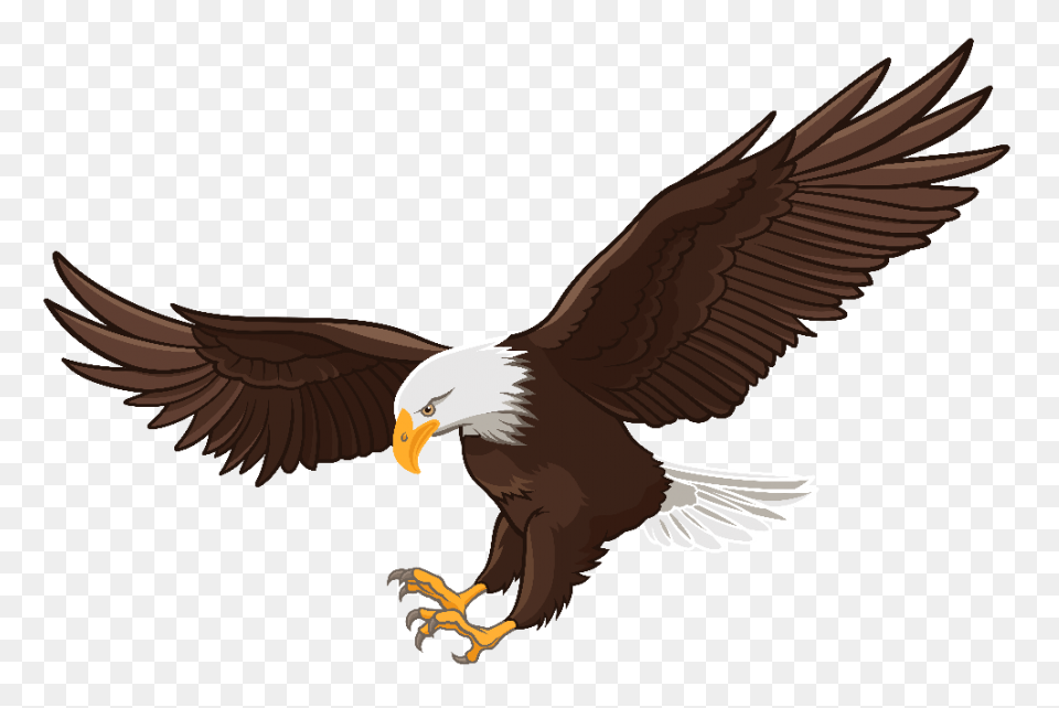 Art, Eagle Cartoon, Eagle Art