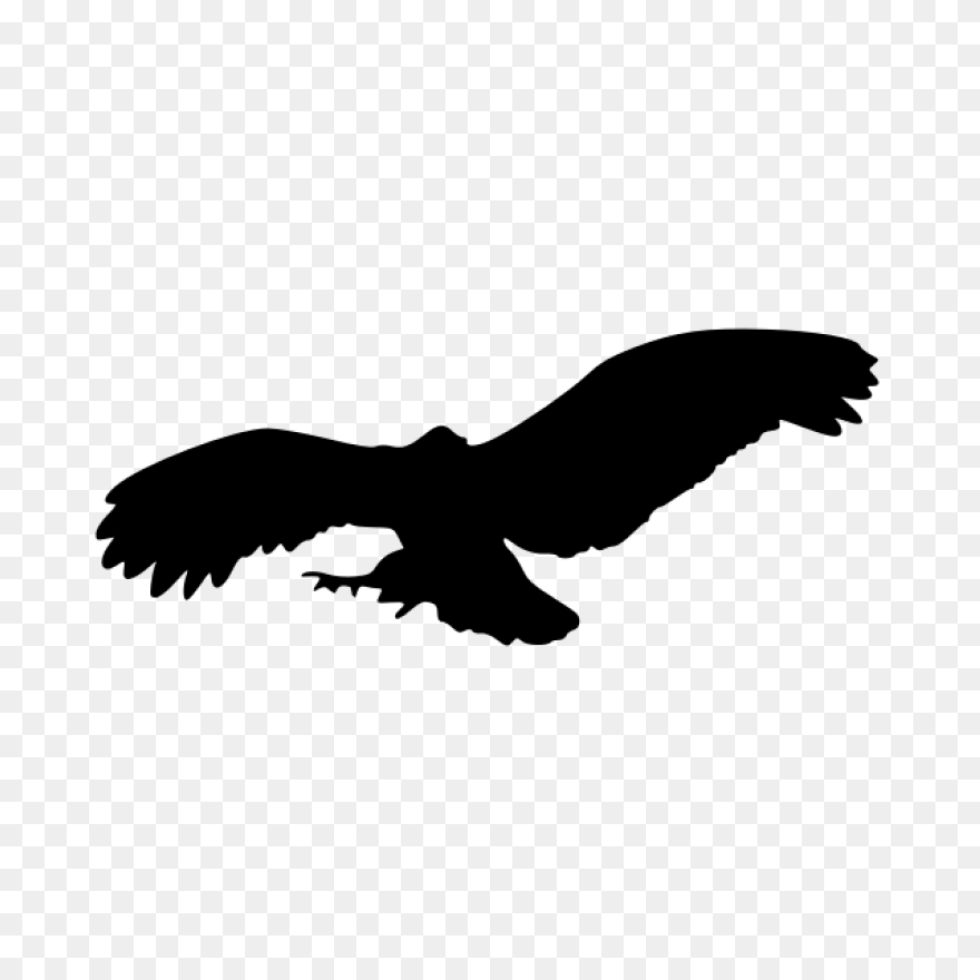 Art, Eagle Cartoon, Eagle Art