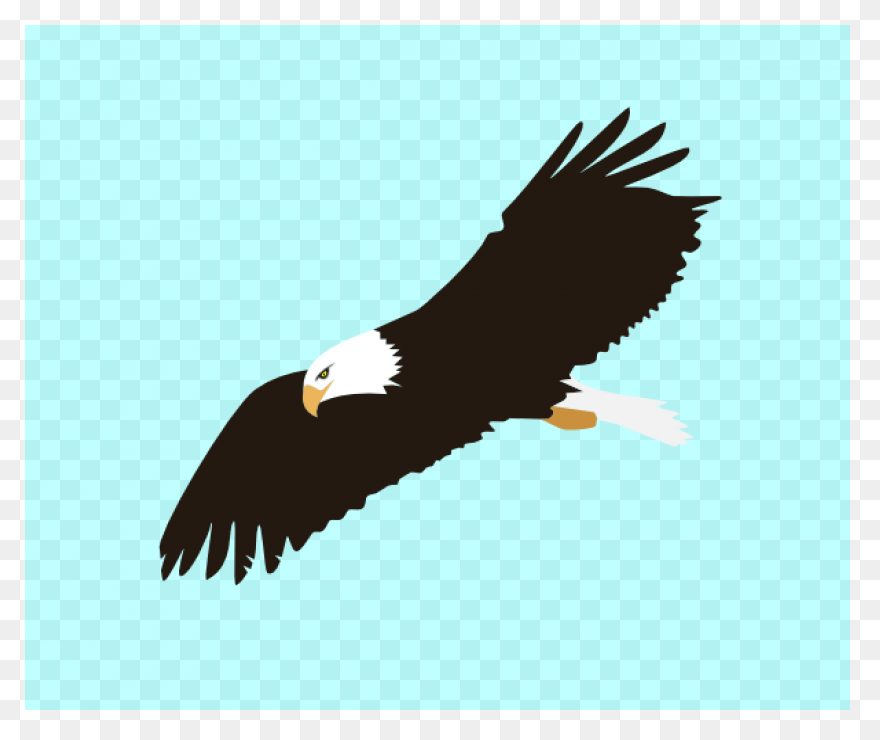 Art, Eagle Cartoon, Eagle Art