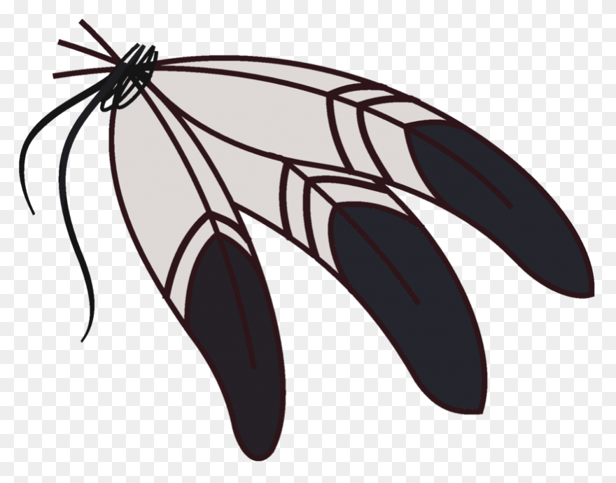 Eagle Feathers Png Eagle Feathers - Eagle Feather