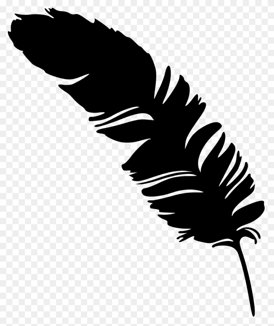 Eagle Feathers Png - Eagle Feathers