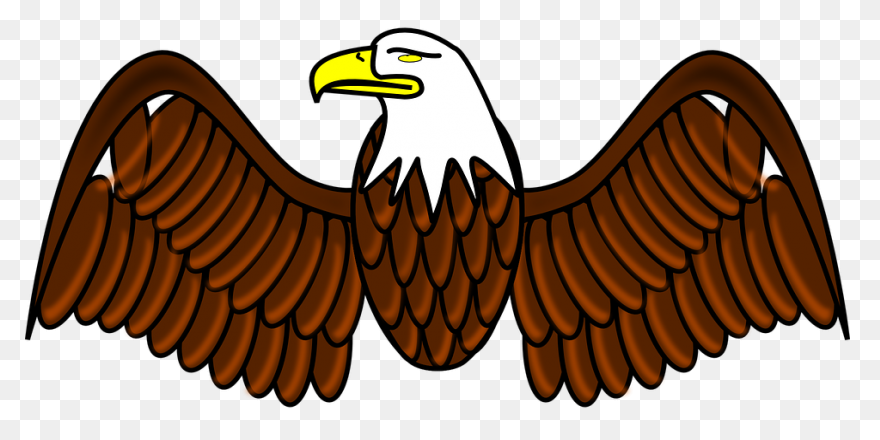 Eagle Wings Feathers Free Vector - Eagle Wings