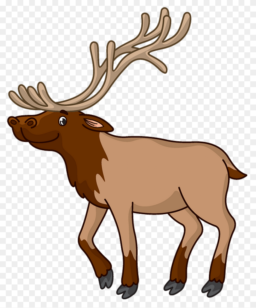 Hunting Deer Wildlife Elk Clipart -
