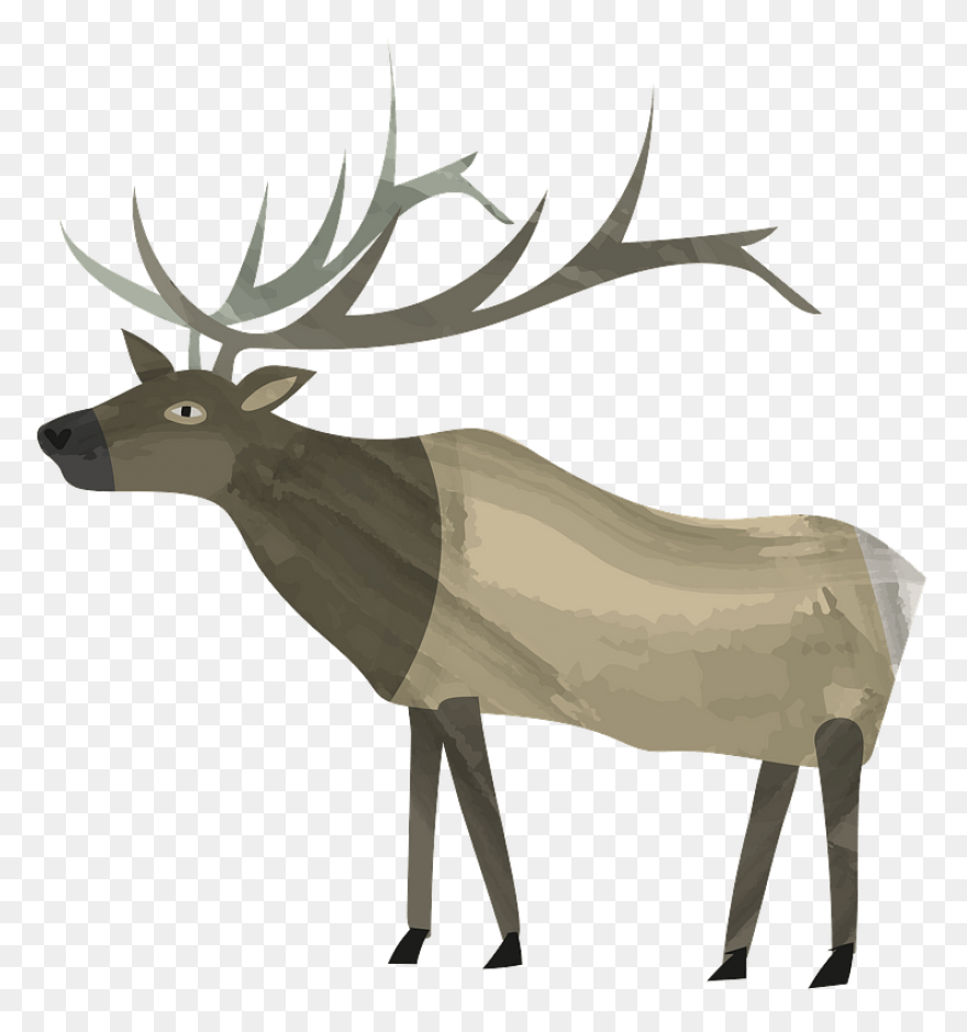 Hunting Deer Wildlife Elk Clipart -