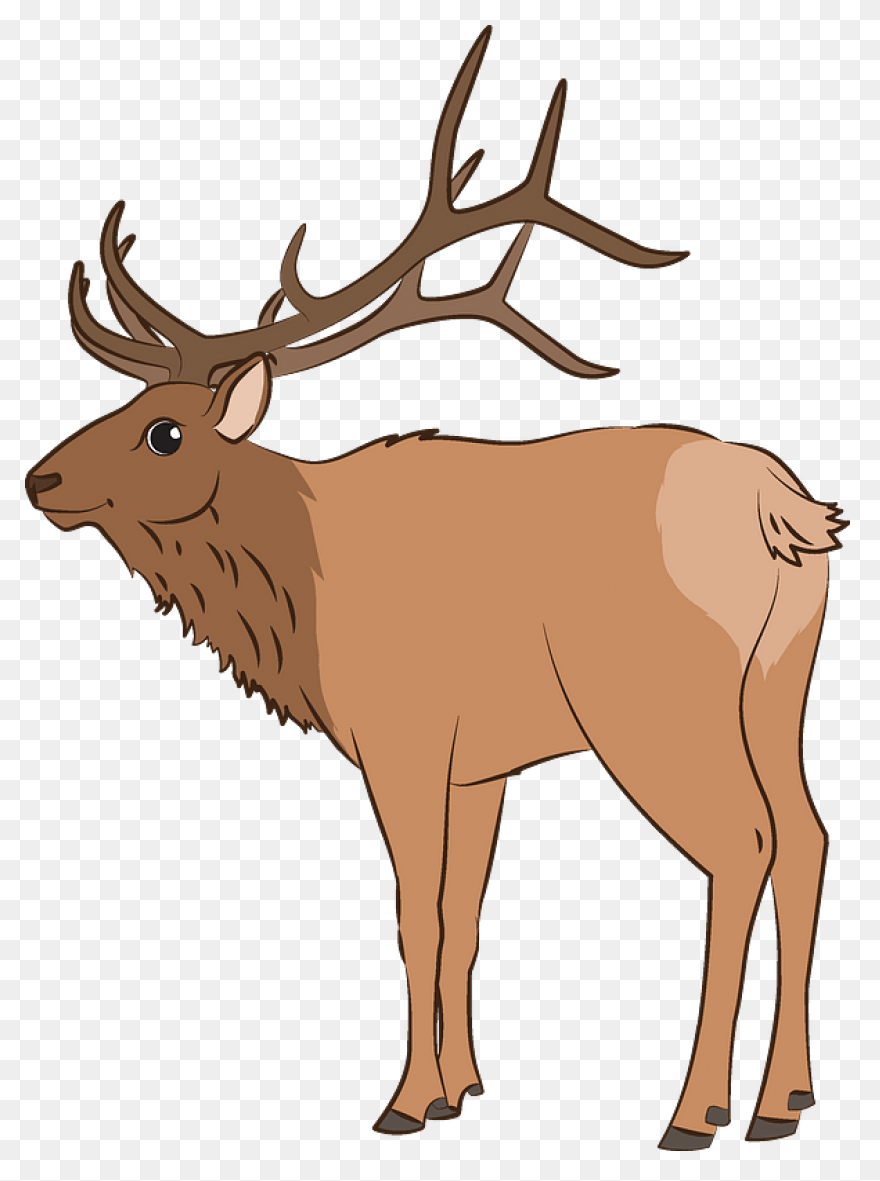 Hunting Deer Wildlife Elk Clipart -