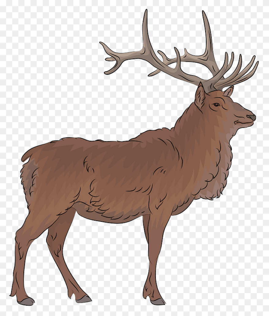 Hunting Deer Wildlife Elk Clipart -