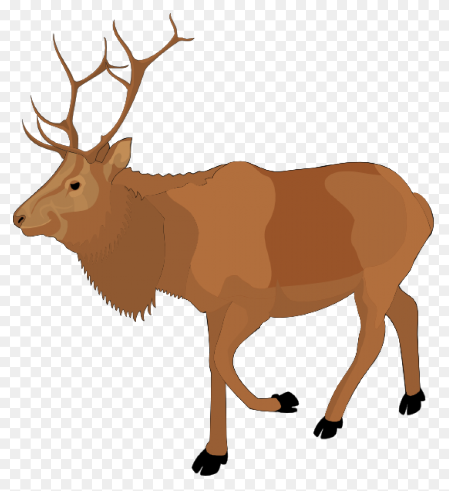 Hunting Deer Wildlife Elk Clipart -