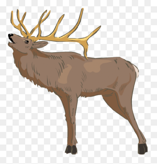 Hunting Deer Wildlife Elk Clipart -