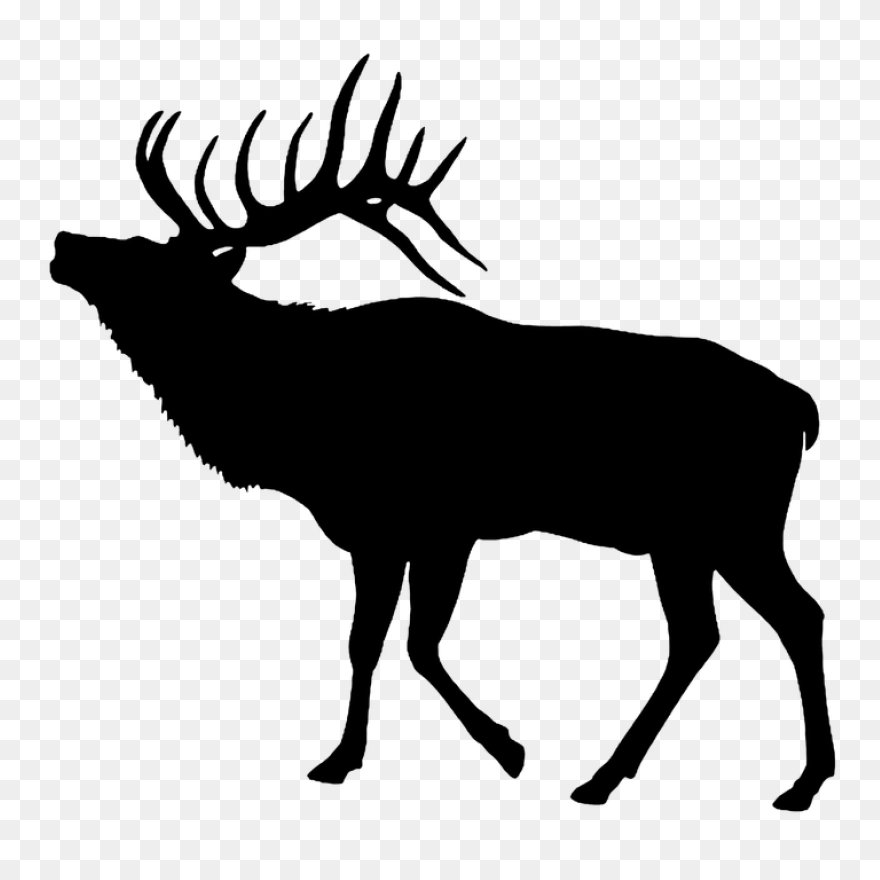 Hunting Deer Wildlife Elk Clipart -