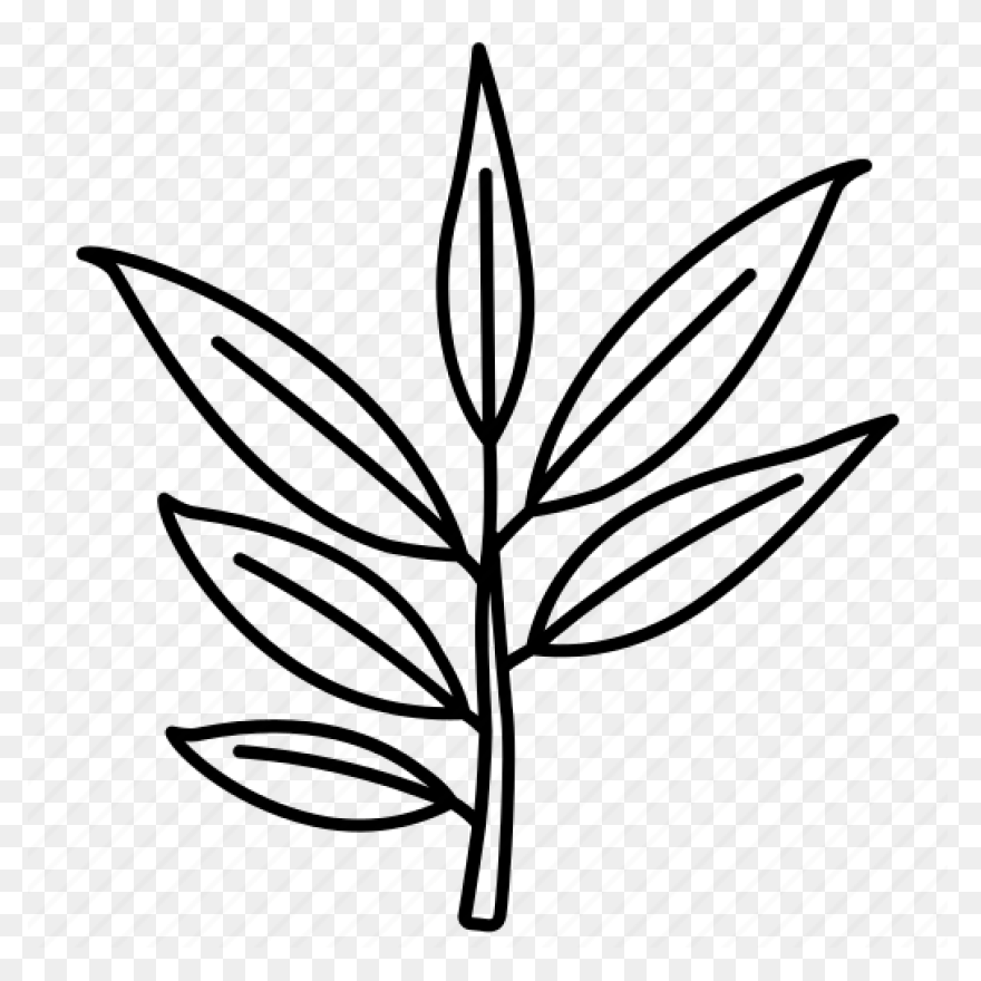Eucalyptus Branch Clipart. Free Dow