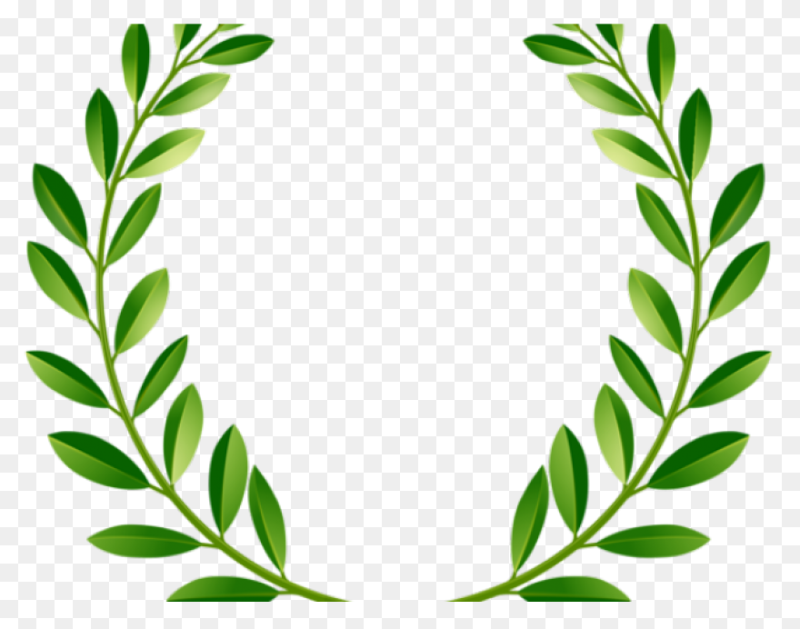 Eucalyptus Branch Clipart. Free Dow
