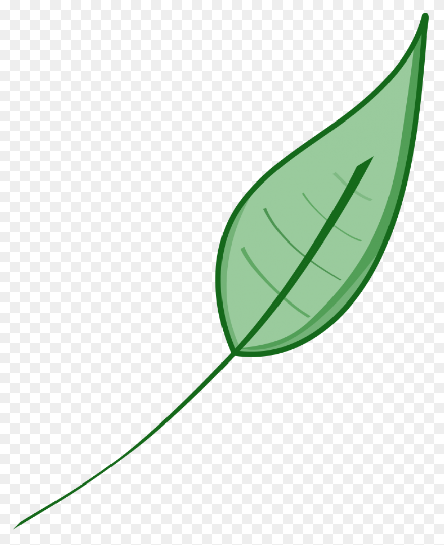 Eucalyptus Branch Clipart. Free Dow