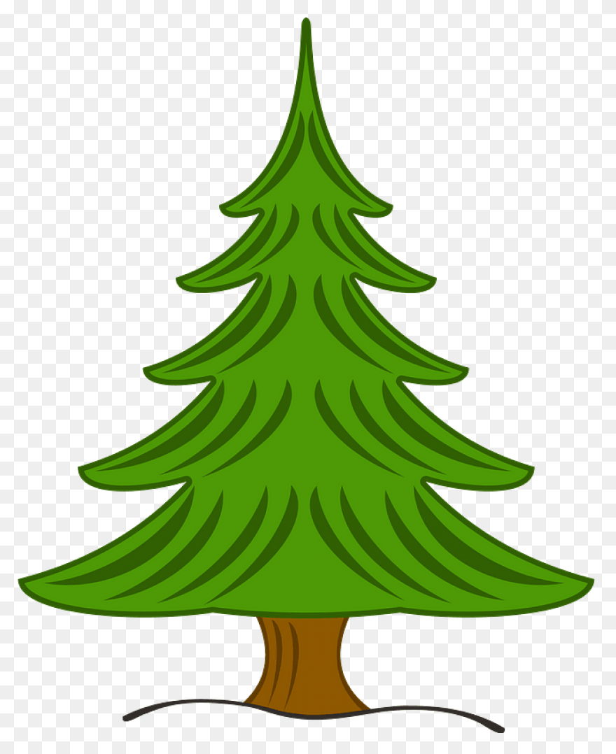 Fir Clipart Evergreen Tree - Transp