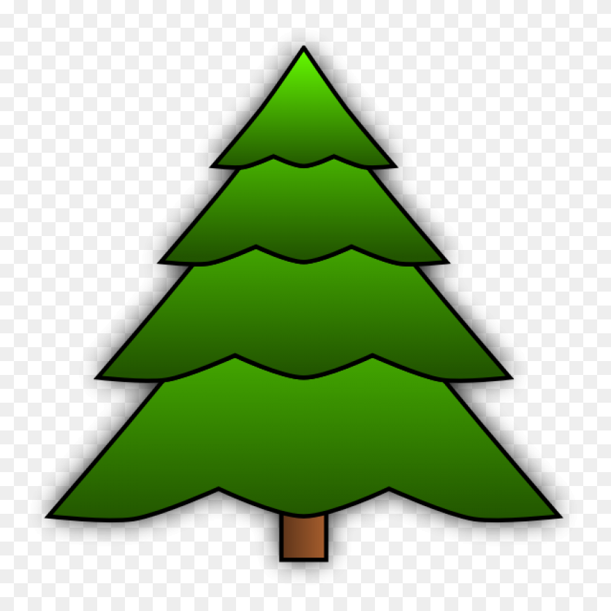 Evergreen Tree Image | Free - Evergreen Tree