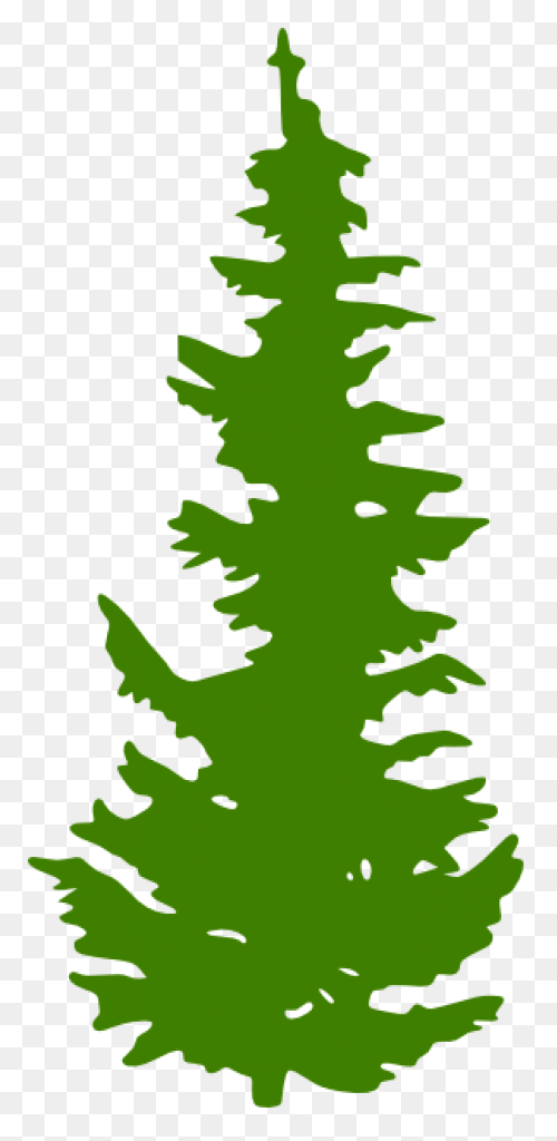 Evergreen Tree Clipart - Clipart Su