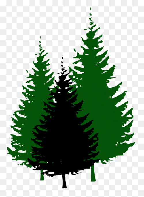 Evergreen Tree Clipart - Clipart Su