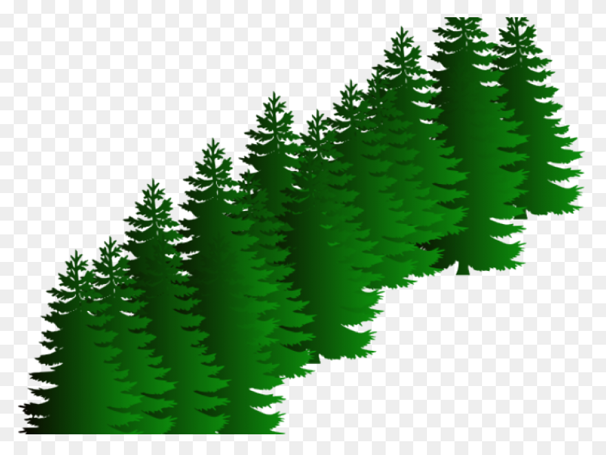 Evergreen Tree Clipart - Clipart Su