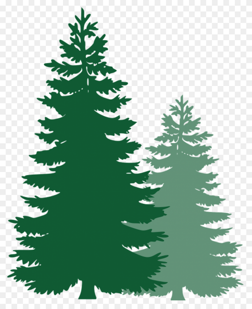 Evergreen Tree Clipart - Clipart Su